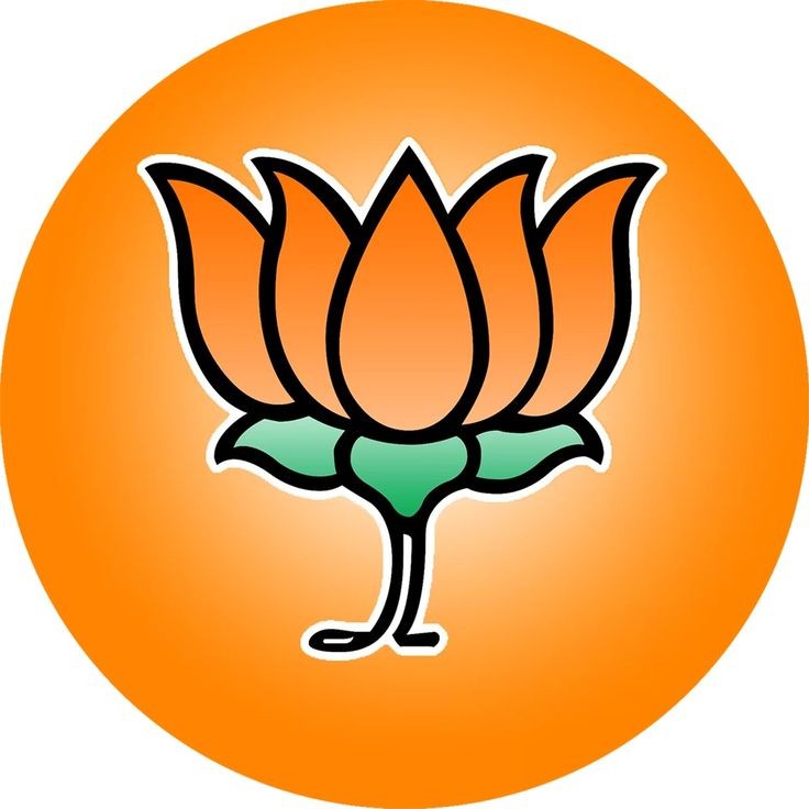 Shailendra Raghuwanshi Logo
